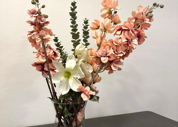 斯皮雅阁公寓 公寓式酒店 里米尼