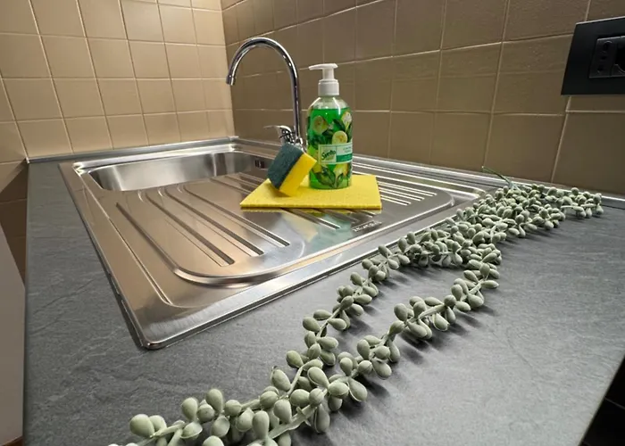 斯皮雅阁公寓 3* 里米尼