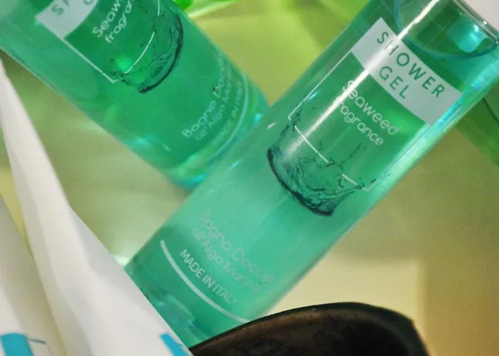 斯皮雅阁公寓 3*